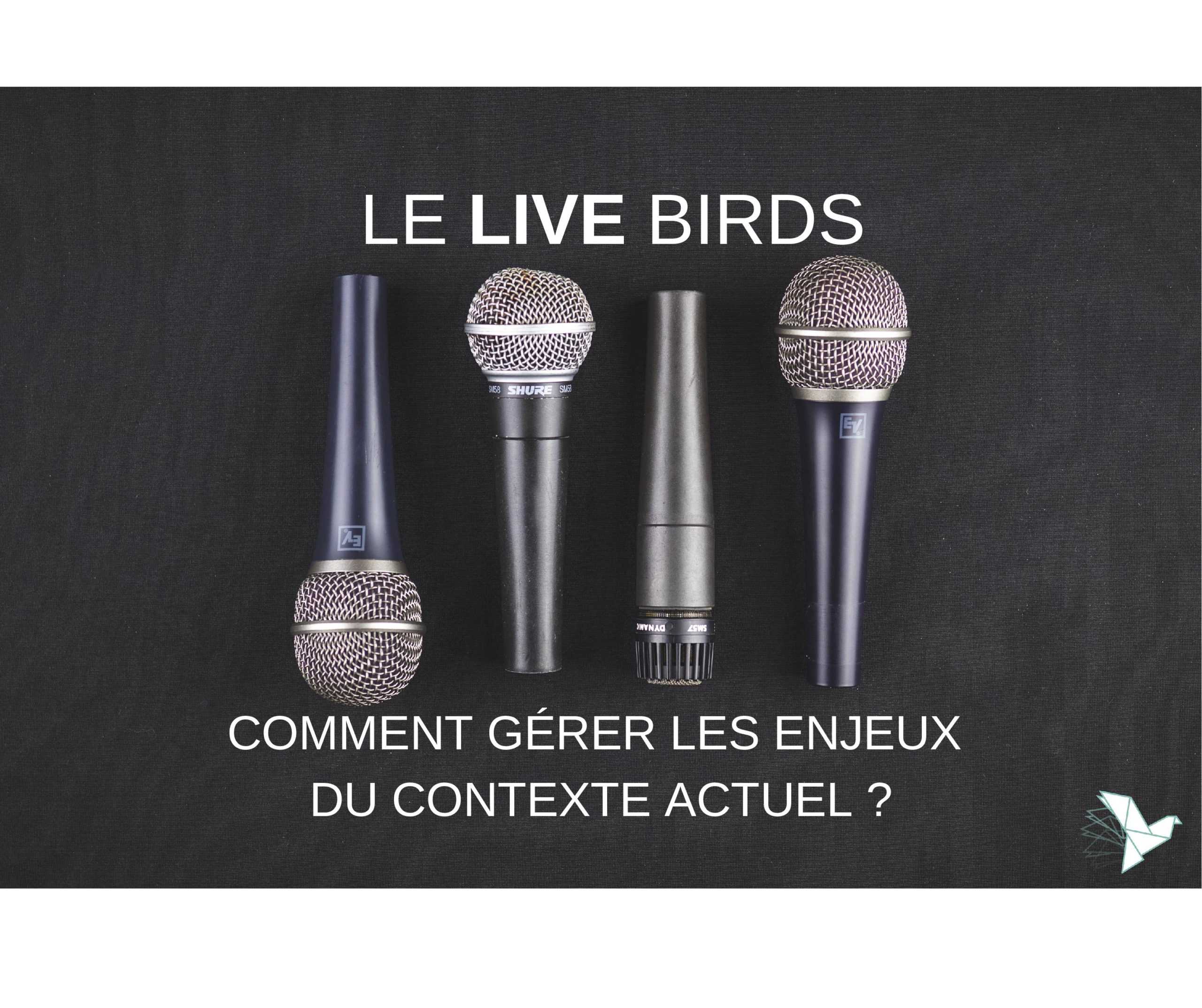Miniature 2 le live birds