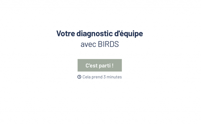 le diagnostic d'équipe BIRDS