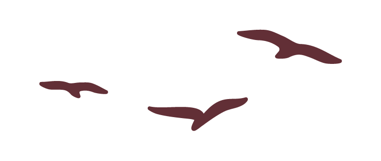 BIRDS en séminaire