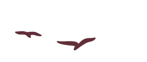Séminaire