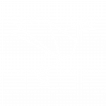 Bird - Icône - 12 - BIRDS Coaching et Formation