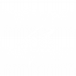Bird - Icône - 11 - BIRDS Coaching et Formation
