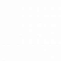 Bird - Icône - 11 - BIRDS Coaching et Formation