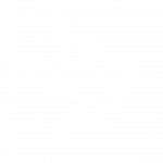 Bird - Icône - 13 - BIRDS Coaching et Formation